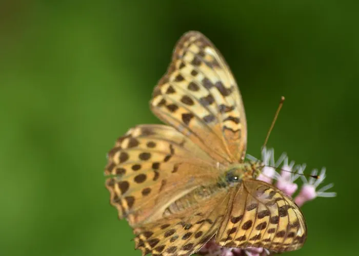Talblick Добель