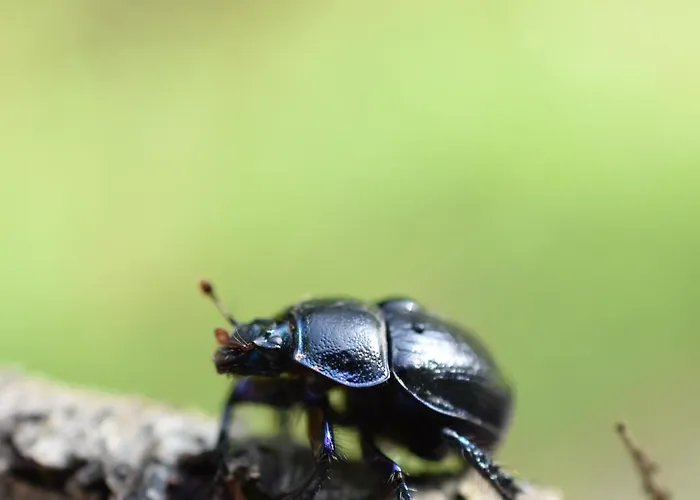 Talblick Гостевой дом