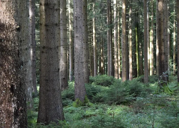 Гостевой дом Talblick Добель